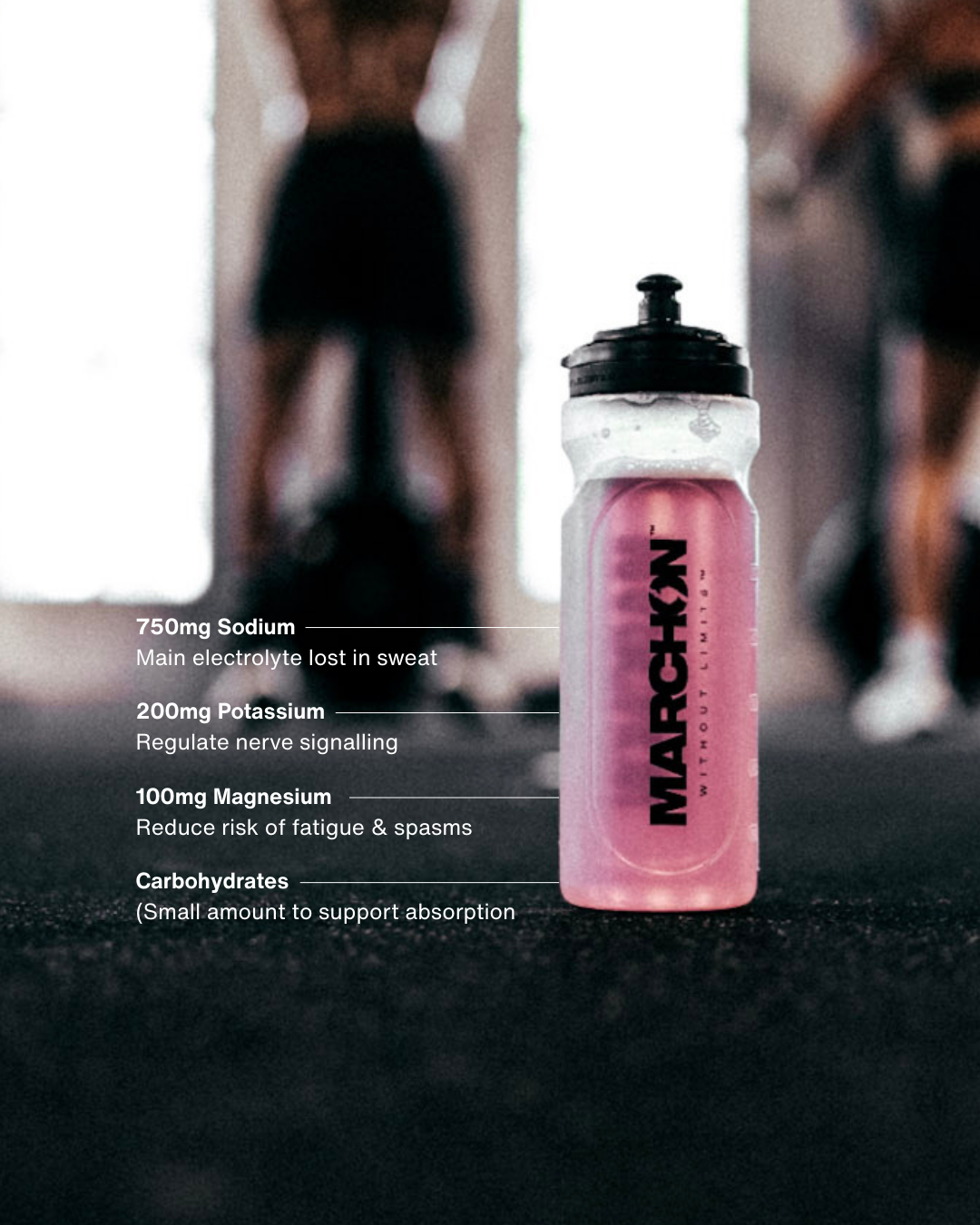 Performance Hydration Electrolyte Powder